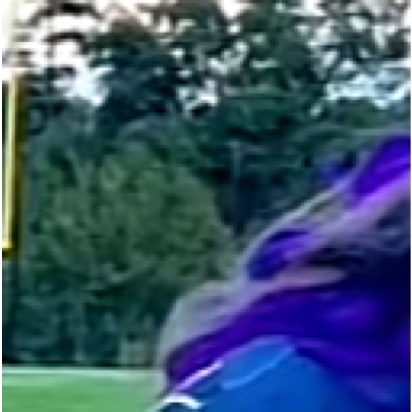 Meet your Posher, Dimitri - Picture 1 of 1